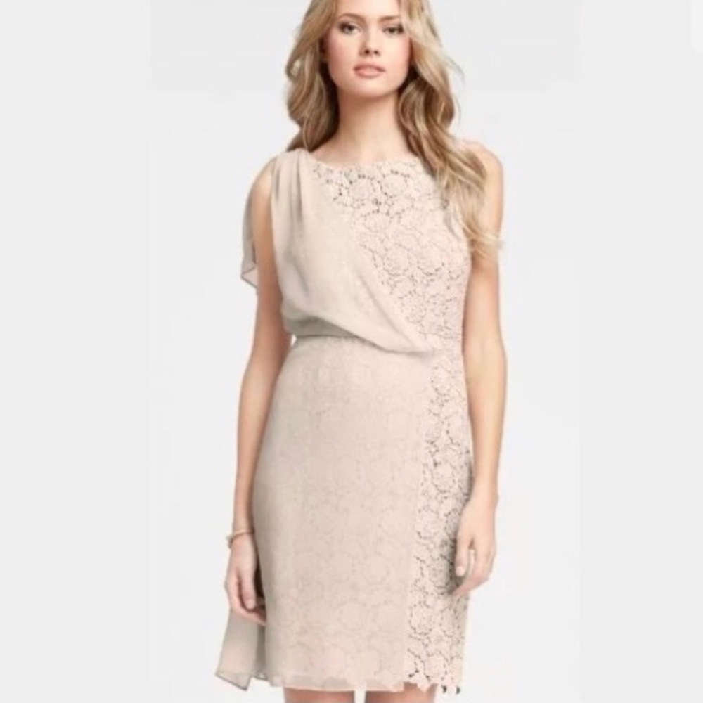 Ann Taylor modern lace chiffon sheath dress